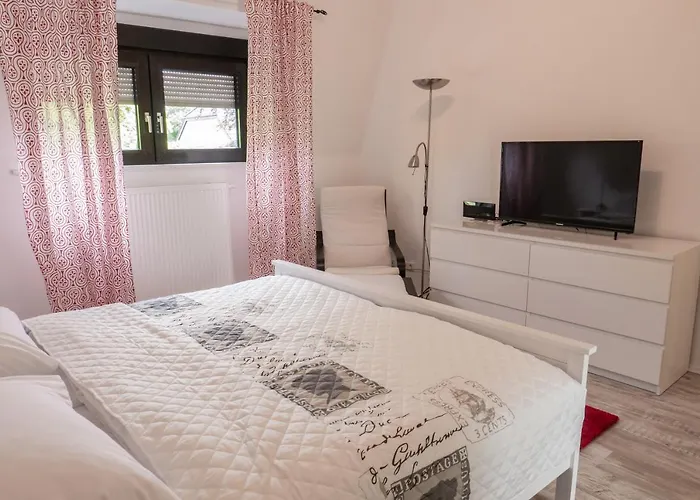 Rheinaue * ドゥイスブルグ